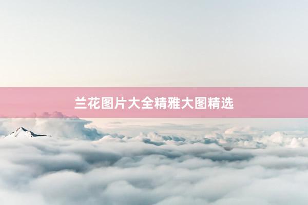 兰花图片大全精雅大图精选