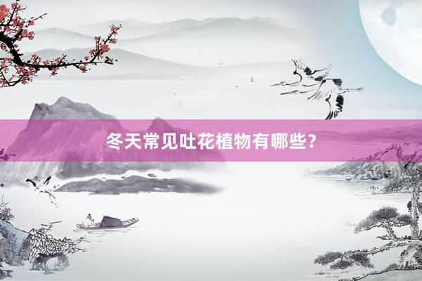 冬天常见吐花植物有哪些？
