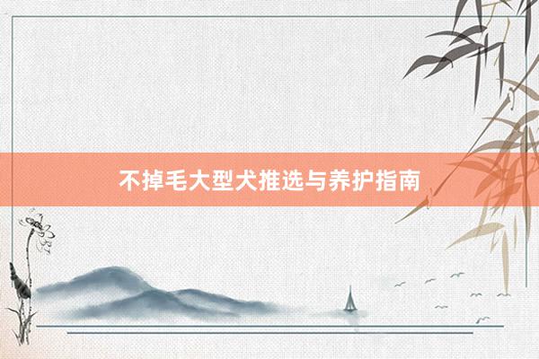 不掉毛大型犬推选与养护指南